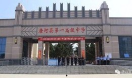 南阳唐河爆料事件最新,真相与争议交织的舆情漩涡